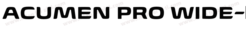 ACUMEN PRO WIDE字体转换